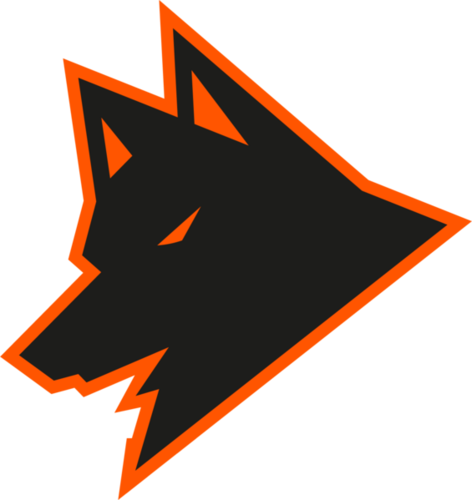 Guara Esports